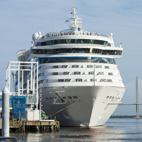 Kreuzfahrtschiff Landgang Vogelabwehr BirdAlert