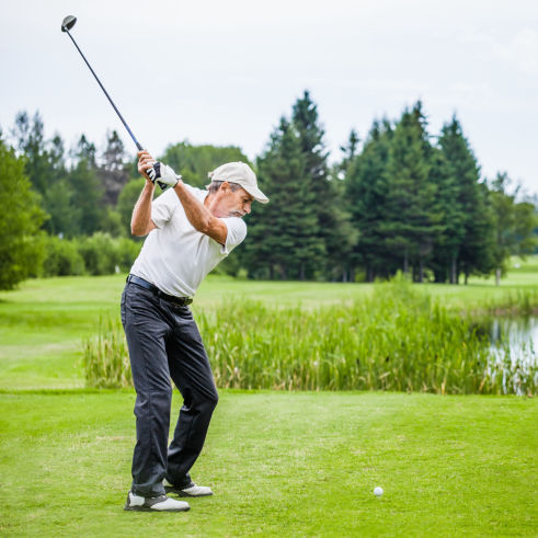 Golfplatz Green Vogelabwehr BirdAlert