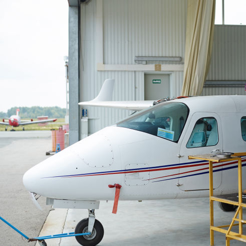 Flughafen Hangar Vogelabwehr BirdAlert