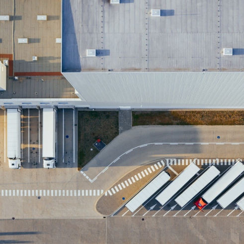 Logistik Dachfläche Vogelabwehr Möwen