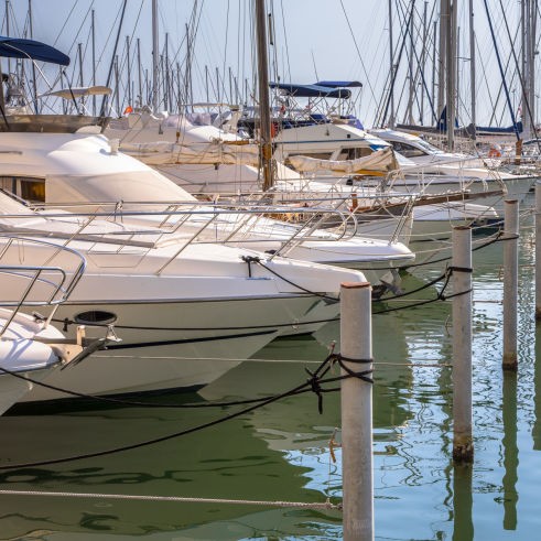 Marina Yachthafen Boote Vogelabwehr Möwen
