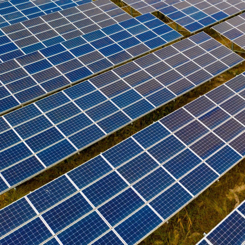 PV-Anlage Solar Dachfläche Vogelabwehr